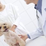 これで安心「子犬のワクチン接種ガイド」